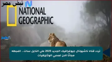 تردد قناة ناشيونال جيوغرافيك الجديد 2025 على النايل سات.. اضبطه مجانًا الآن لمحبي الوثائقيات